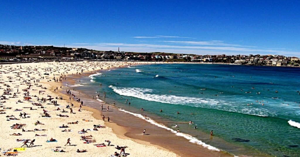 Surfers catching waves at Bondi Beach with golden sand and vibrant blue waters.