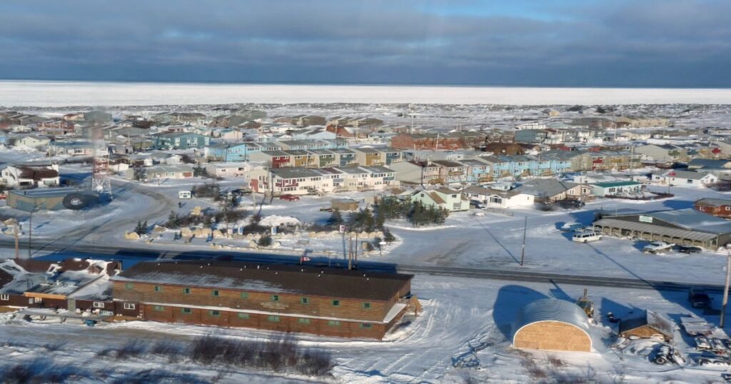 A polar bear wandering on icy terrain near Churchill during winter months.