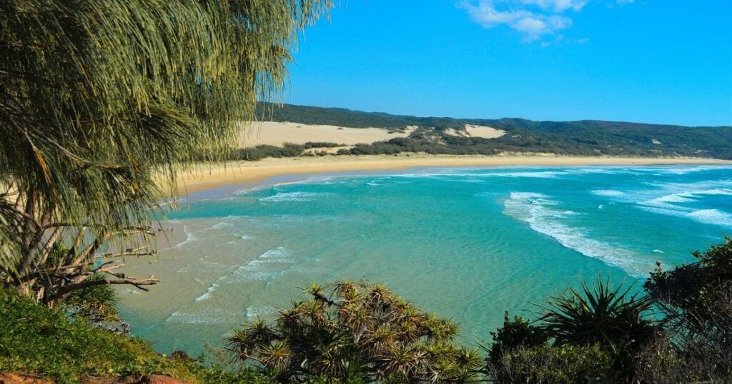 Clear blue waters of Lake McKenzie on Fraser Island surrounded by white sand and eucalyptus trees.