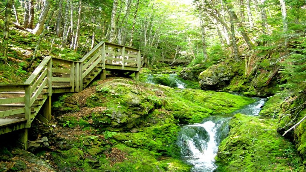 Top 15 Adventure Destinations in Canada: Embrace the Great Outdoors