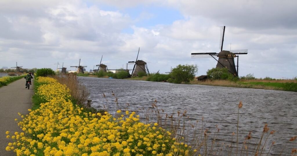  A row of historic windmills standing along the canal at Kinderdijk, reflecting in the water on a sunny day.