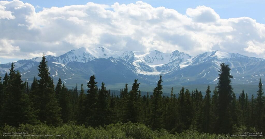 “Snow-covered peaks of the St. Elias Mountains in Kluane National Park, with glaciers flowing into the valleys below.”