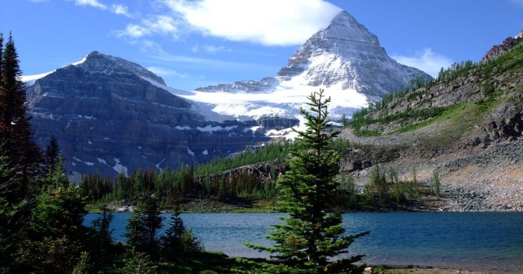 “Mount Assiniboine rising above a vibrant alpine meadow with wildflowers in full bloom.”