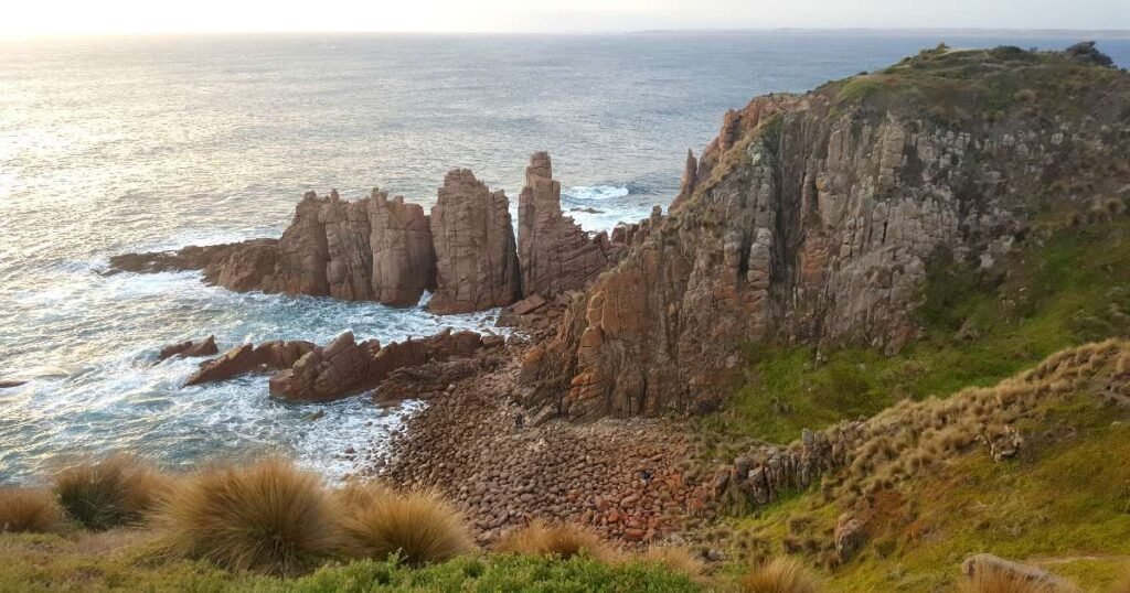 Little penguins waddling ashore at sunset on Phillip Island’s sandy beach.