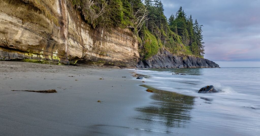 Scenic view showcasing lush forests against a backdrop of mountains under clear skies on Vancouver Island.