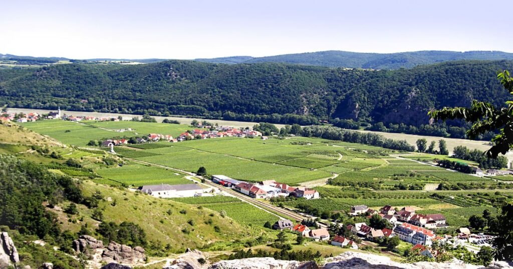 The lush vineyards and medieval castles of the Wachau Valley along the winding Danube River.