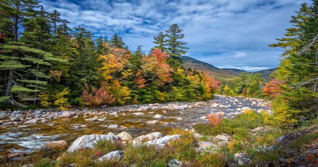 A picturesque view showcasing vibrant foliage colors against backdrop of White Mountains.