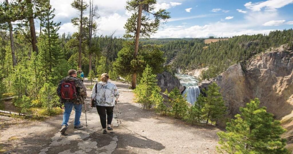 A panoramic view of Yellowstone's geothermal features with geysers erupting against a blue sky.