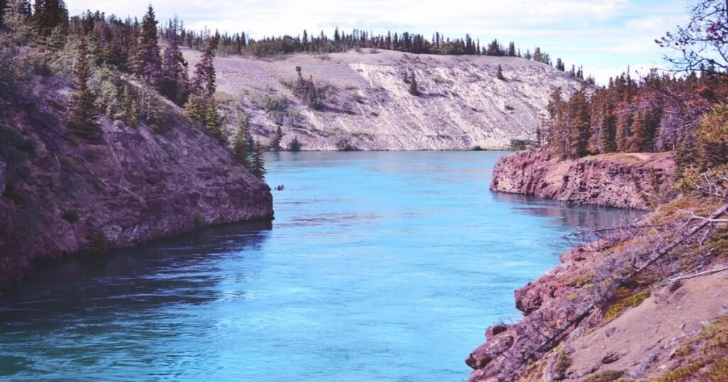 “Canoers are paddling down the expansive Yukon River, surrounded by dense wilderness and towering forests.”