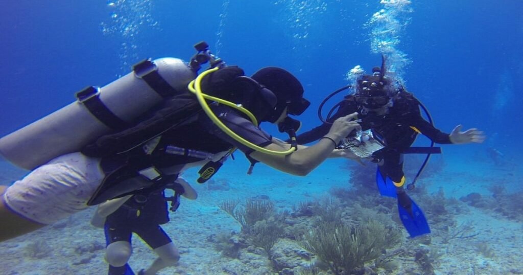 Diverse marine life and coral reefs visible while scuba diving in the pristine waters of Andaman Islands.