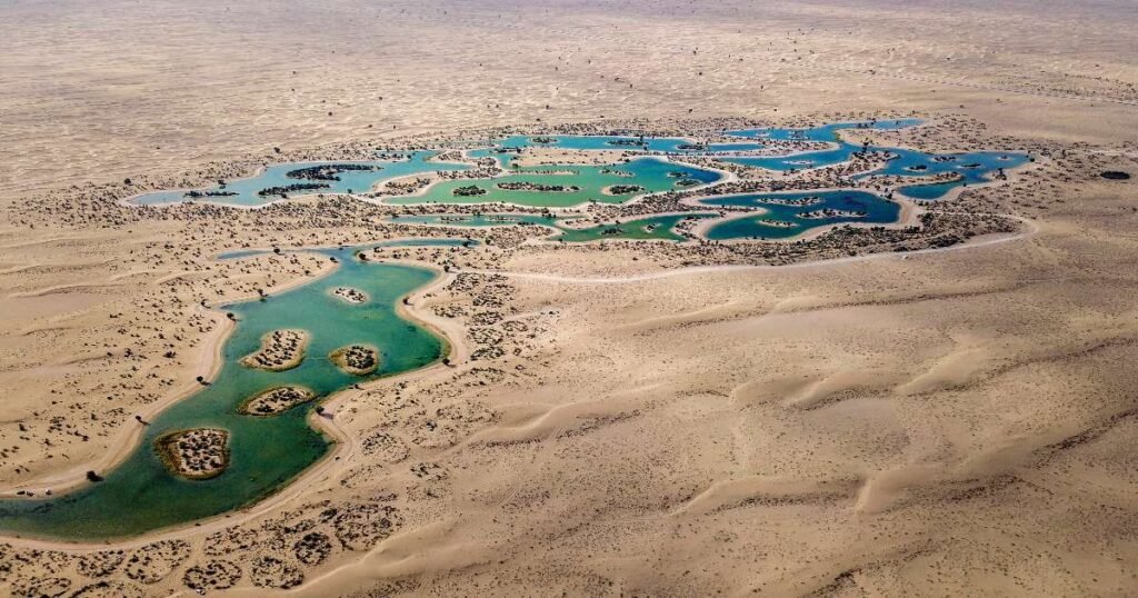  Scenic view of Al Qudra Lakes