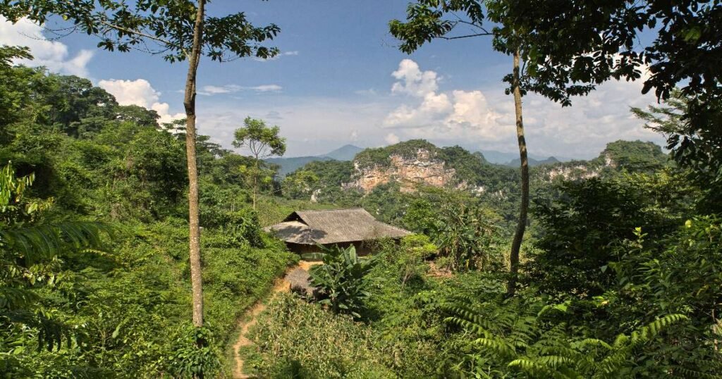 "Serene Ba Be Lake surrounded by limestone mountains and dense forests in Ba Be National Park, Vietnam."