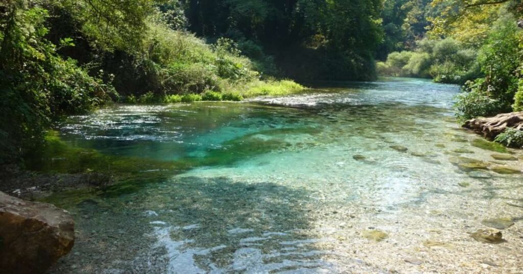 "Vivid blue waters of the Blue Eye spring surrounded by lush greenery."