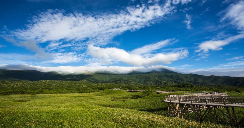 "Pristine landscapes of Shiretoko National Park, with dense forests under bright blue sky.