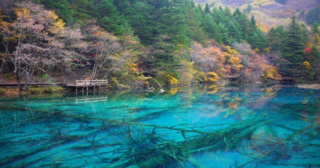 "Serene blue waters of Five Flower Lake surrounded by lush greenery in Jiuzhaigou Valley."