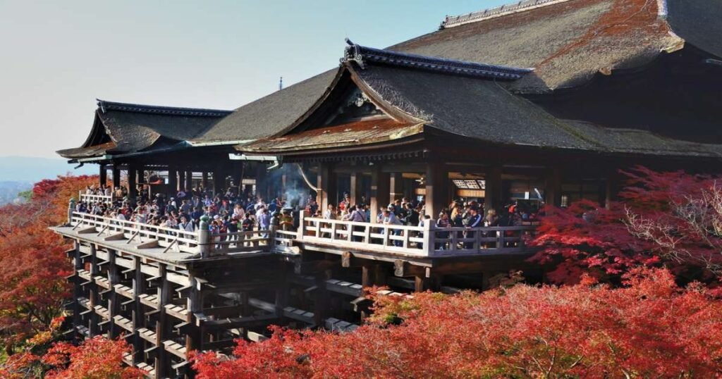 "Kiyomizu-dera Temple with its famous wooden stage, surrounded by cherry blossoms and vibrant green trees."