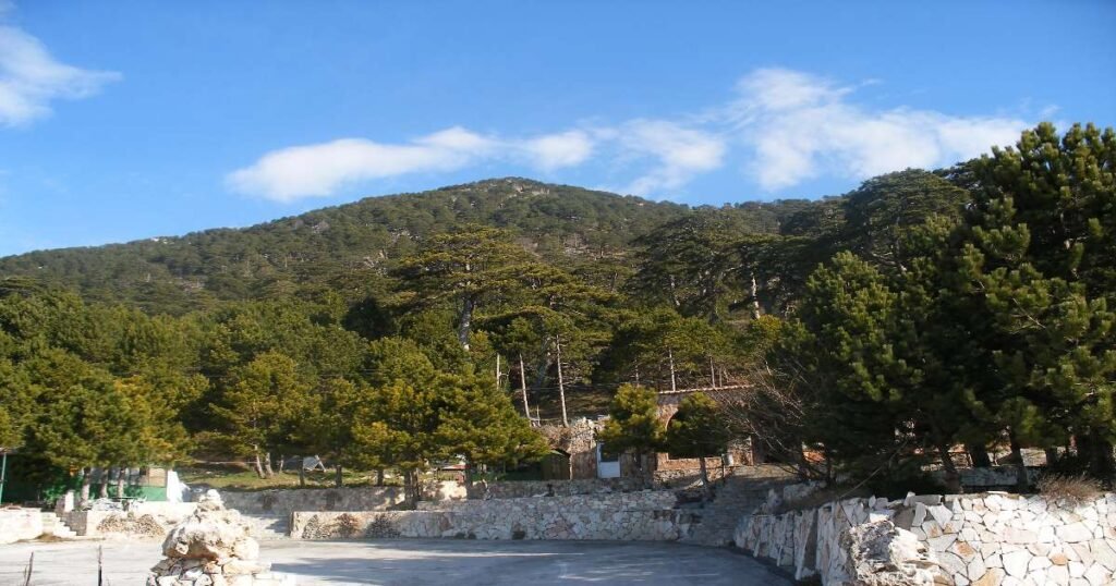 "Panoramic view from Llogara Pass with winding roads and the Ionian Sea in the distance."