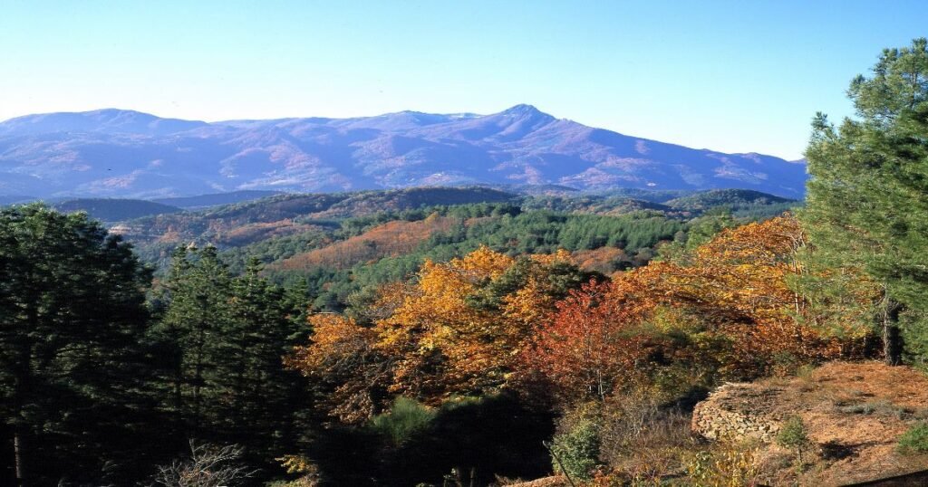 A group of hikers enjoying the scenic views of Montseny Natural Park with the Turó de l'Home peak in the distance.