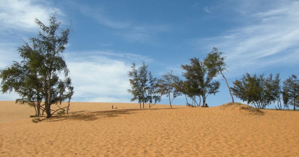 "Expansive white sand dunes in Mui Ne, Vietnam, with the ocean visible in the distance."