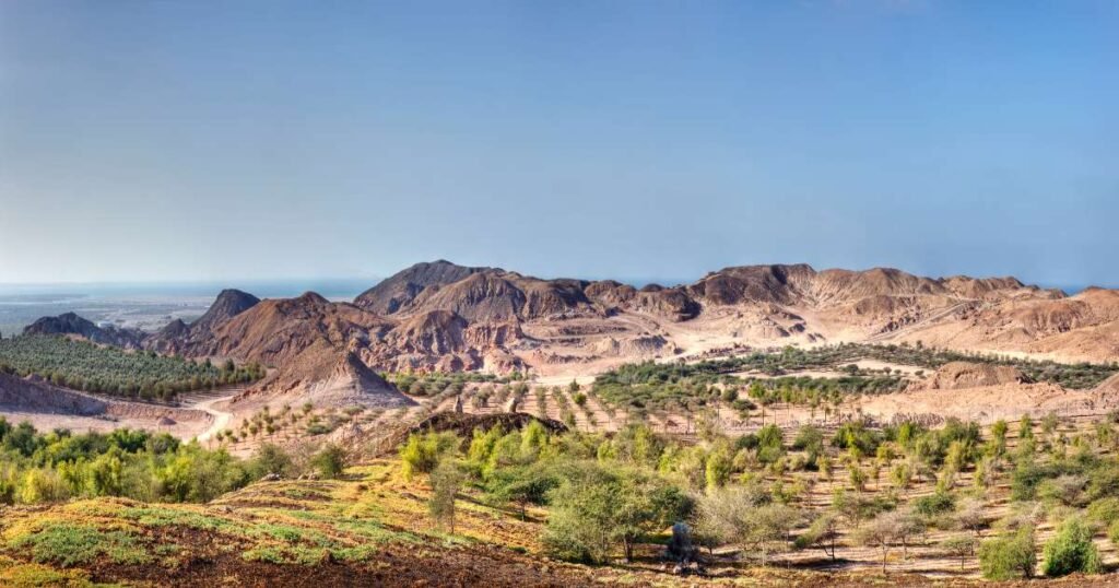 panoramic view of Sir Bani Yas Island from the sky.