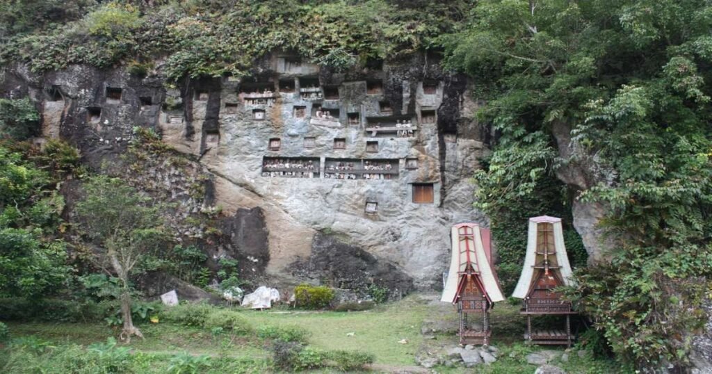 "Traditional Torajan houses with tall, boat-shaped roofs set in lush surroundings."