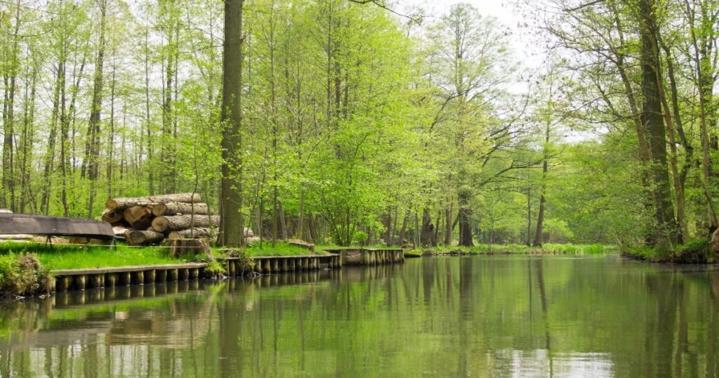 “Kayakers paddling through the serene, winding canals of the Spreewald Biosphere Reserve, surrounded by green forests and traditional wooden bridges.”