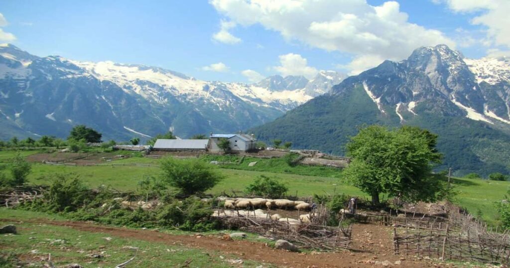  "Mountainous landscape of Valbona Valley with lush greenery and a flowing river."