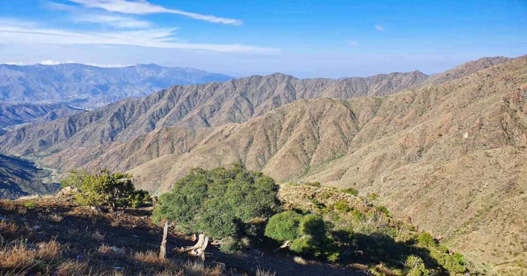 "The lush, green landscapes of Asir National Park with mountain peaks in the background."