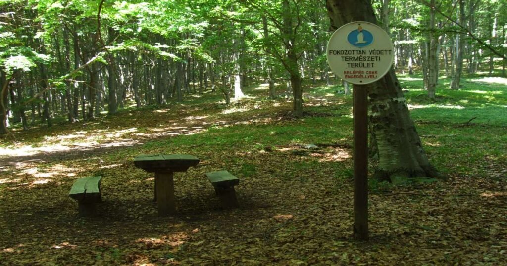 "Bükk National Park surrounded by dense forest.”