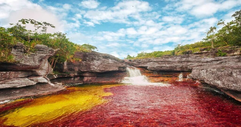 "Colorful underwater plants in Caño Cristales river."