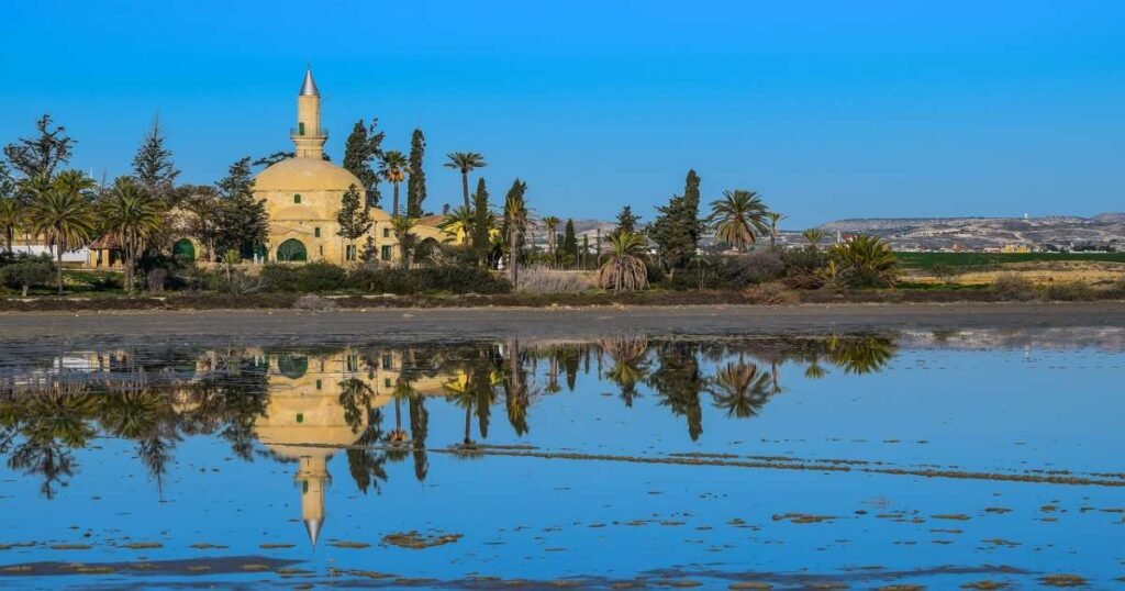 "Flamingos wading in the Larnaca Salt Lake with the Hala Sultan Tekke in the background."