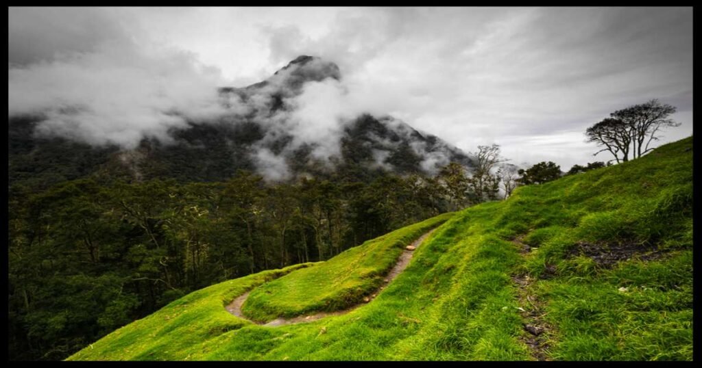 “Beautiful peaks and lush landscapes in Los Nevados National Natural Park.”