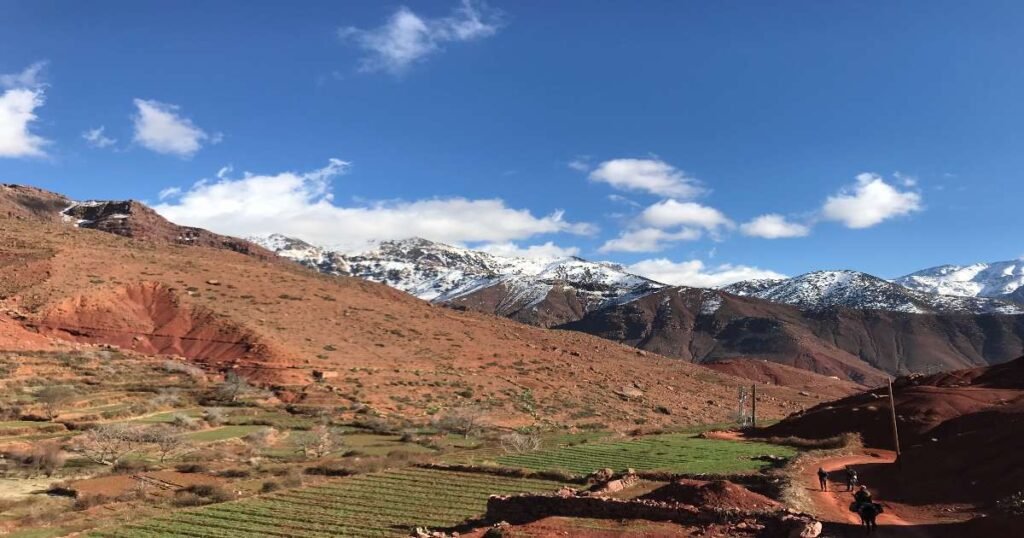“Scenic terraced farms and traditional Berber houses nestled in the green Ourika Valley.”