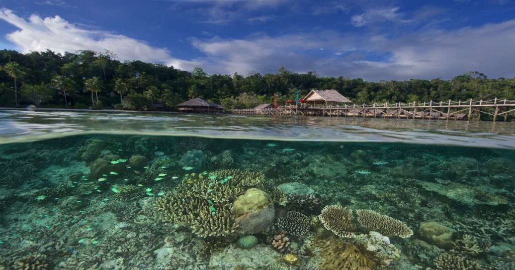 “Clear turquoise waters with coral reefs and tropical fish in Raja Ampat, West Papua.”