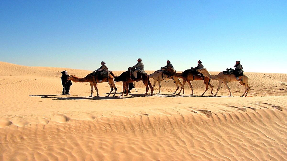 Top 15 Adventure Destinations in Tunisia: