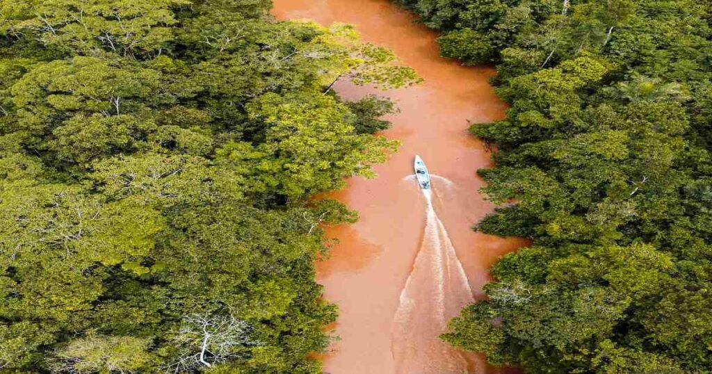 “Lush greenery of the Amazon Rainforest near Leticia with a view of the Amazon River.”