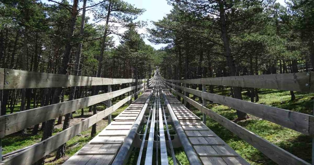 Tobotronc Alpine Coaster track weaving through forested mountains in Andorra.