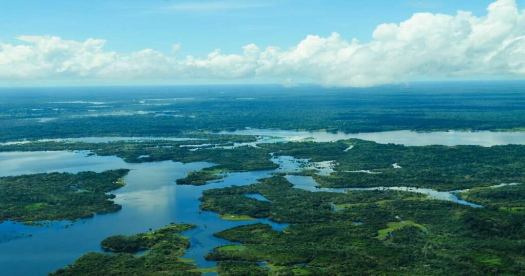 "Aerial view of lush green Amazon Rainforest surrounding a calm river."