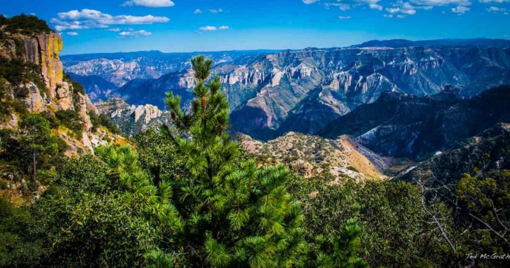 The dramatic Copper Canyon landscape with lush greenery and steep cliffs.