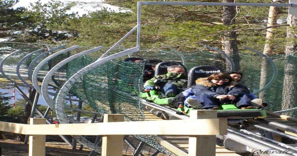 “People riding the Tobotronc alpine coaster through La Rabassa forest at Naturlandia.”