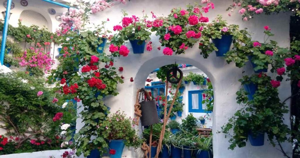 The vibrant flower-filled courtyards in Patios of Córdoba