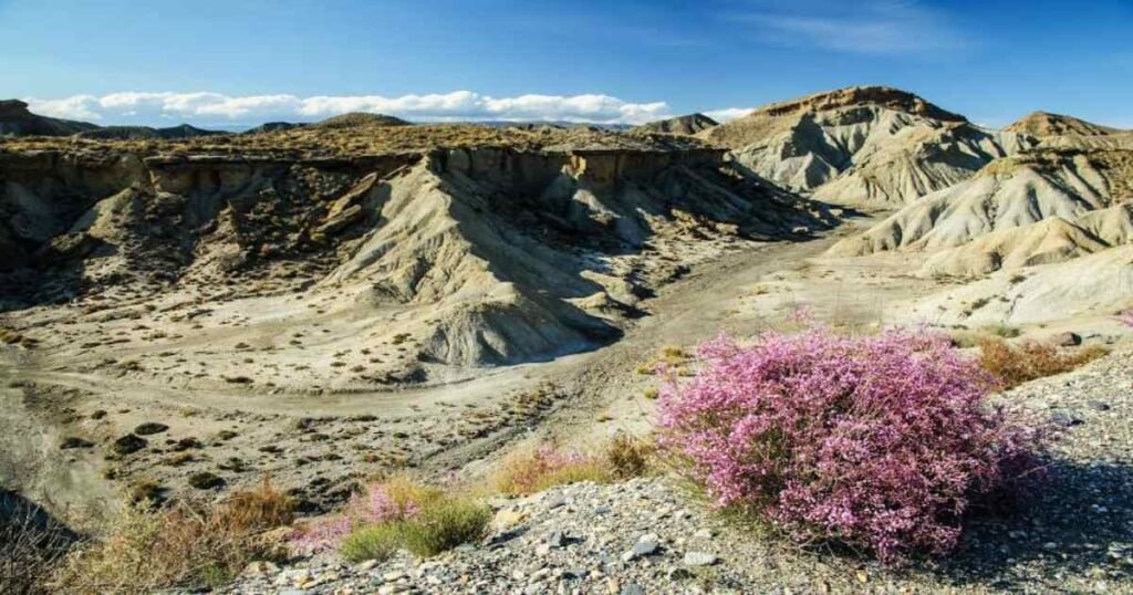 Panoramic views of the Tabernas Desert