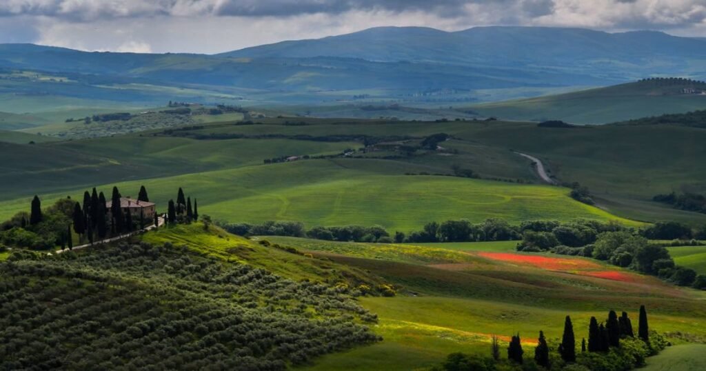 Rolling hills and vineyards under a golden sunset in Tuscany’s countryside.