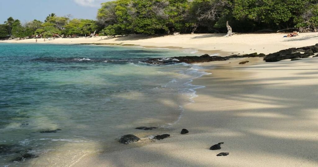 Panoramic view of Kailua-Kona’s coastline with clear waters and palm-lined shores.