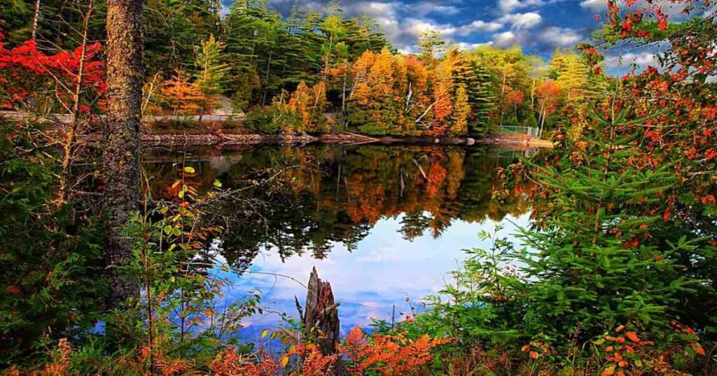 A serene view of a mountain lake surrounded by fall foliage in the Adirondacks.