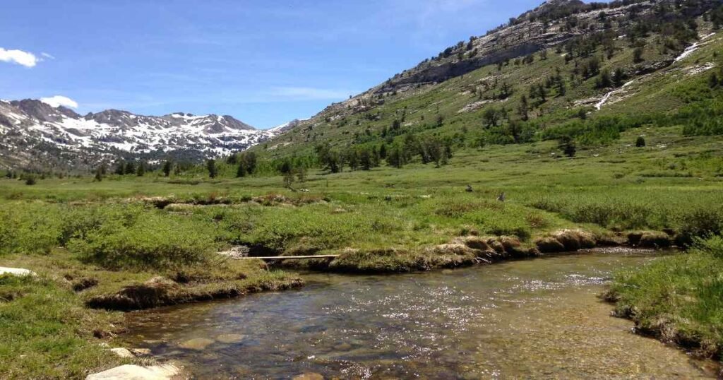 The lush greenery and rugged peaks of Lamoille Canyon under a clear blue sky.