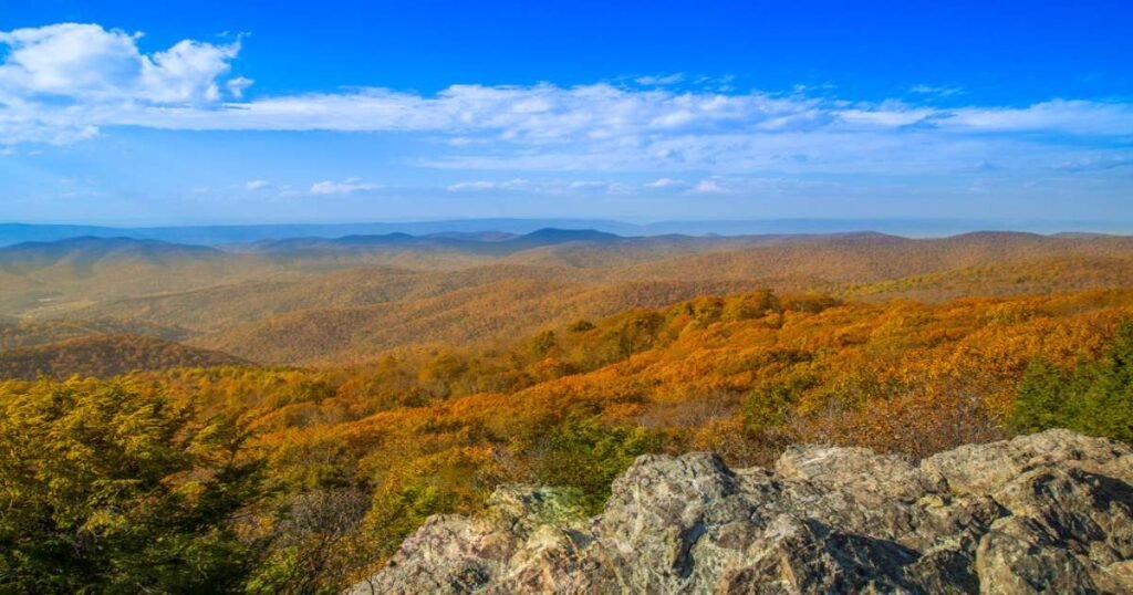 A scenic overlook of the Blue Ridge Mountains during fall foliage season.