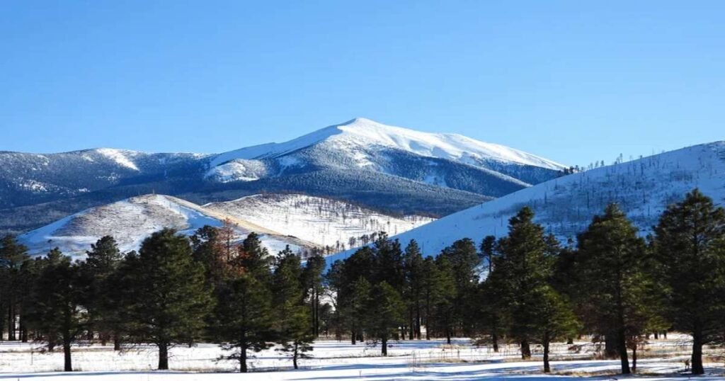 Snow-covered peaks surrounding Flagstaff with a forested foreground.