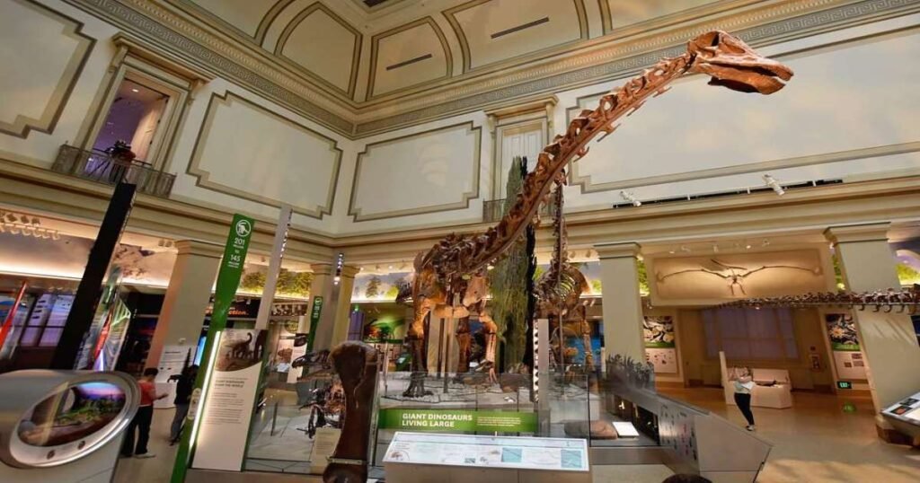 National Museum of Natural History featuring fossils of dinosaur